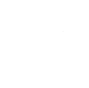 lt-logo-mark-white@2x